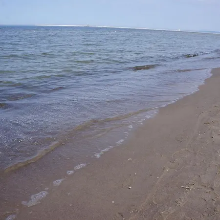 Daire Apartpark Albus *