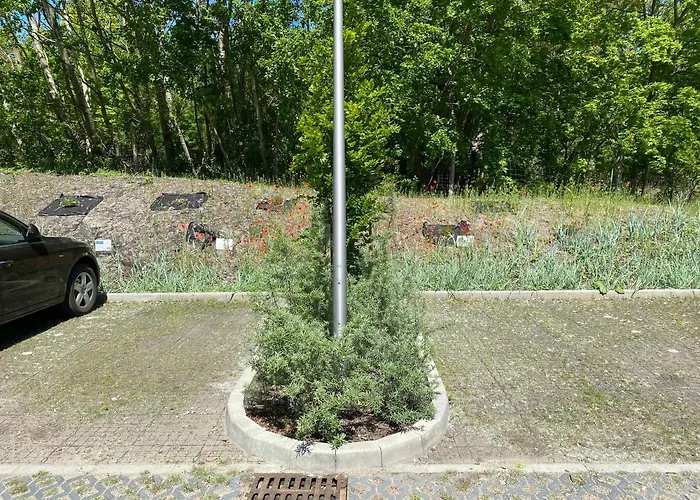 Apartpark Albus 아파트